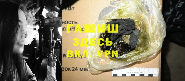 индика Пестово