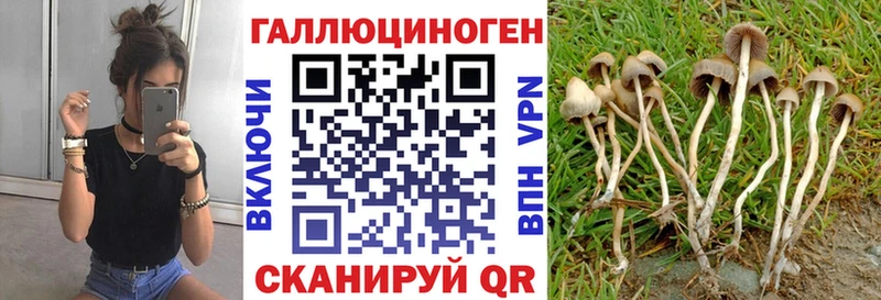 это какой сайт  Ясногорск  Галлюциногенные грибы прущие грибы 